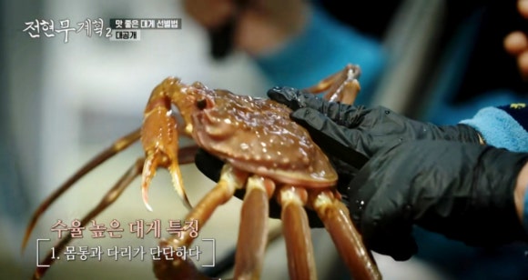 대게집 이미지