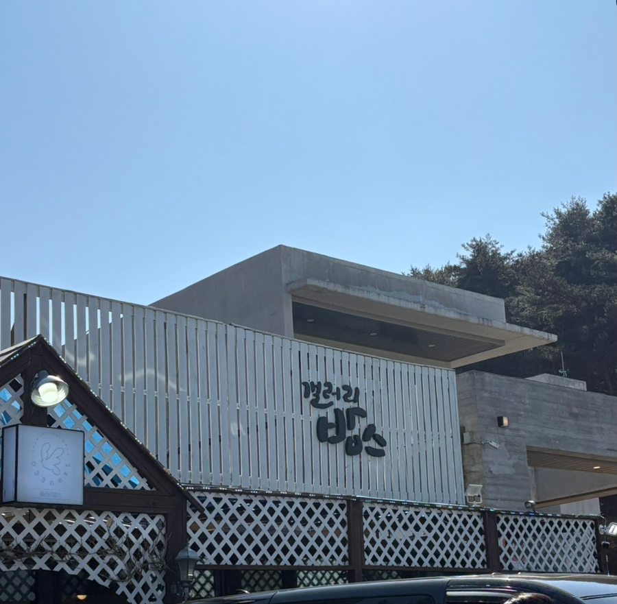 팔로디리몬 이미지