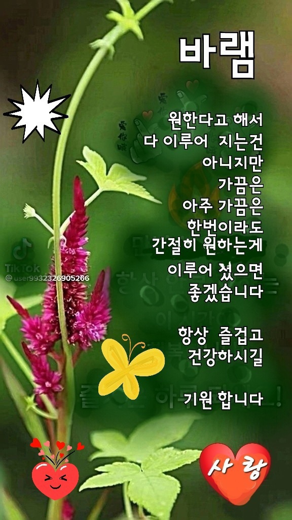 수지상사 이미지