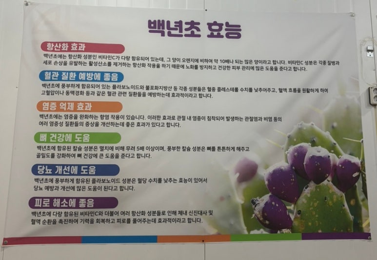 백년초바지락칼국수 이미지