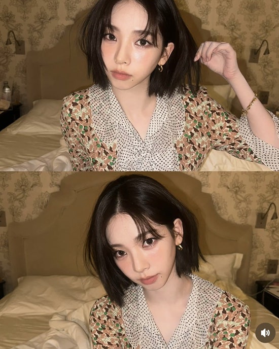 벨리티 이미지