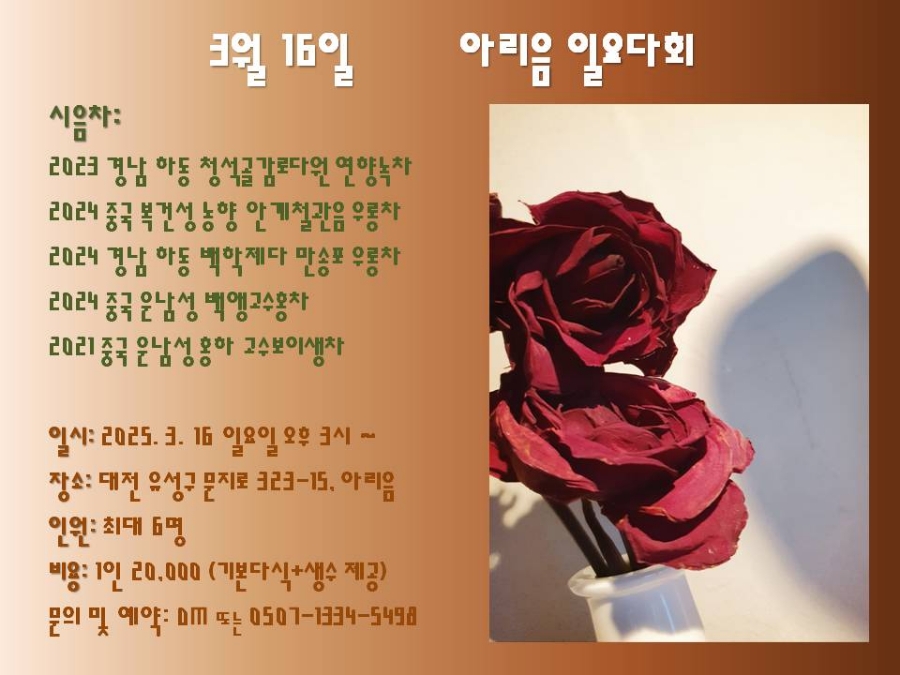 아리음 이미지