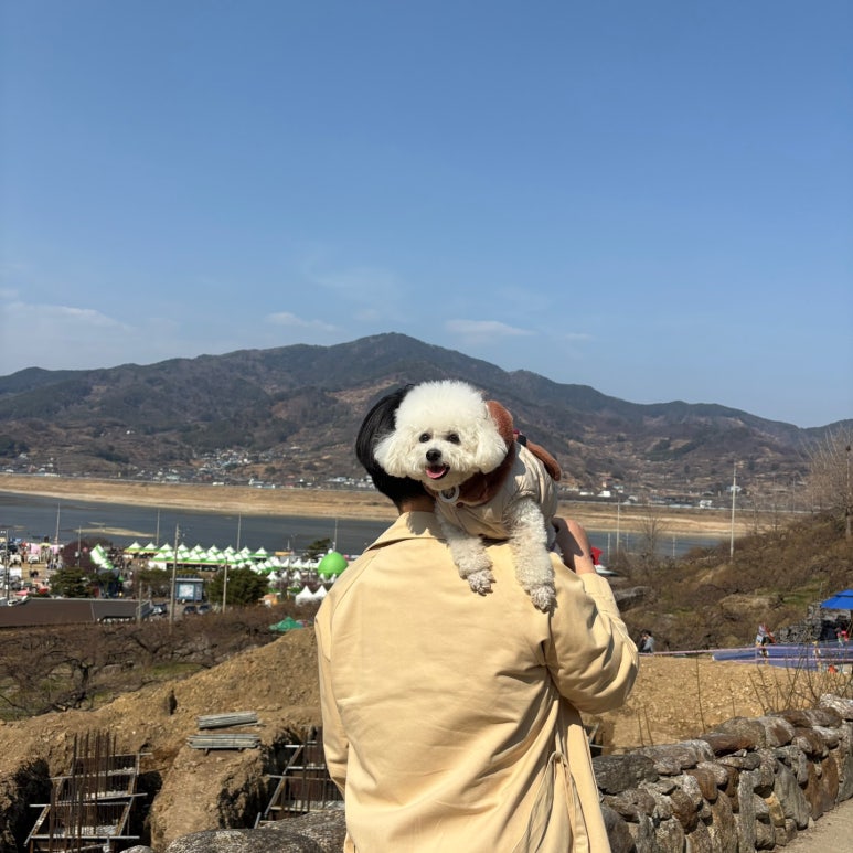 와썹비 이미지