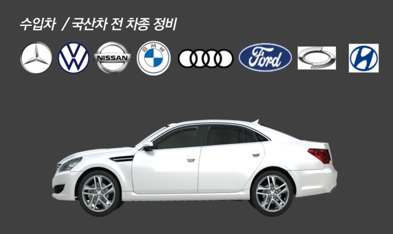 바이드핸더 이미지