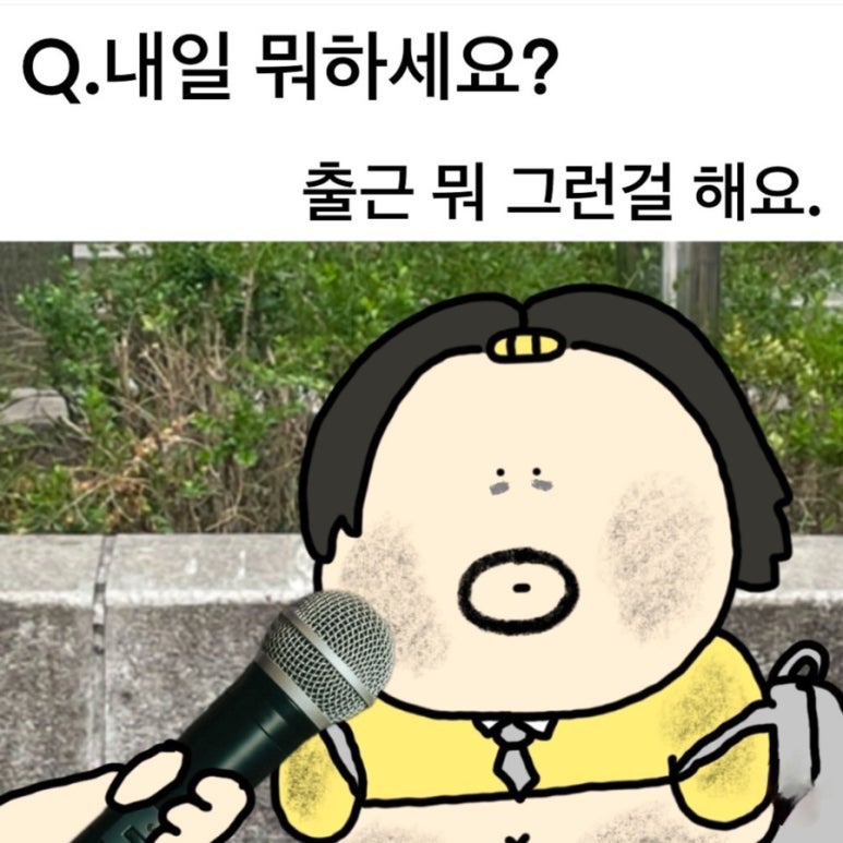 강릉폰 이미지