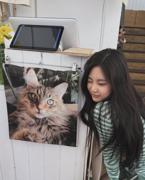 지젤헤어 이미지