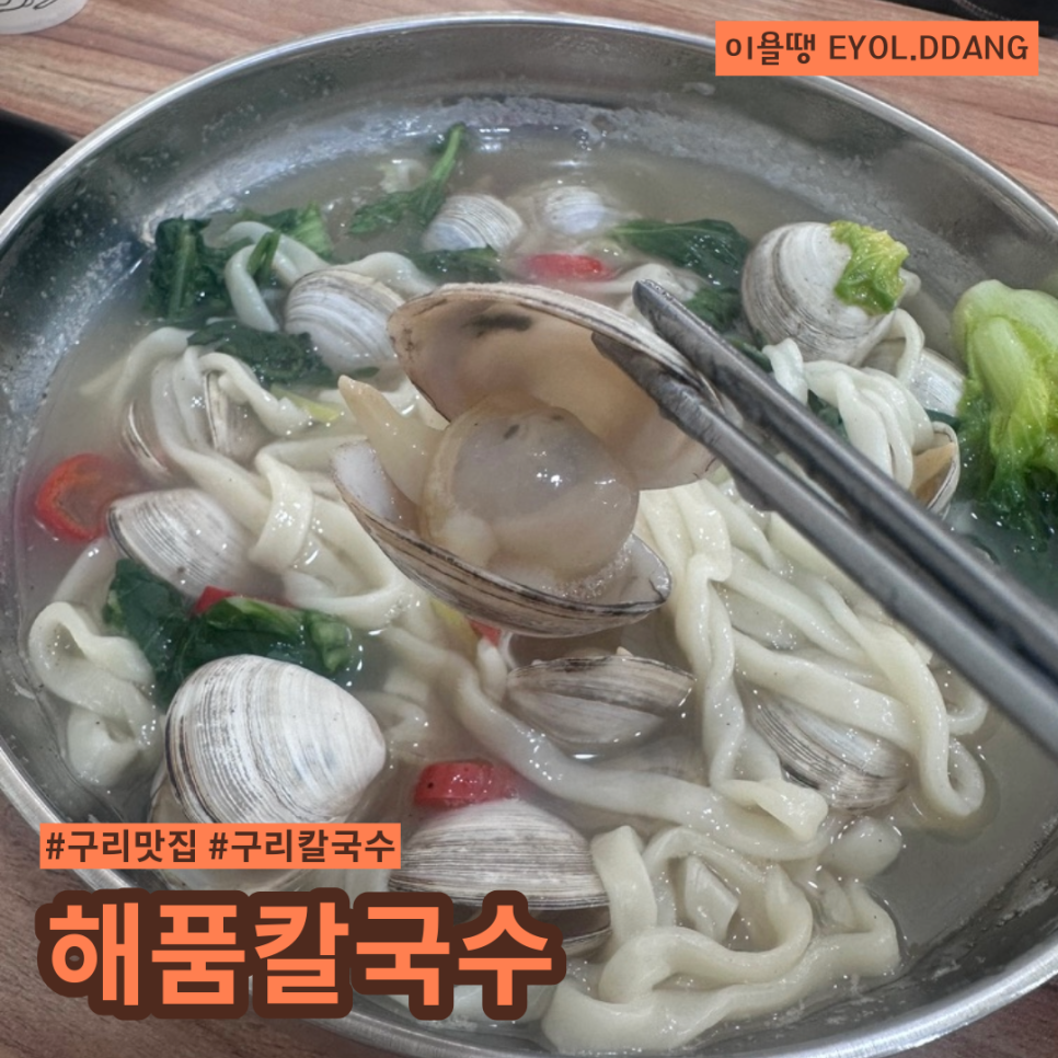 해품조개 이미지