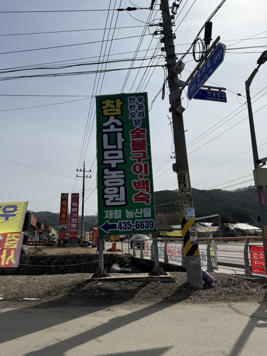 참소나무농원 이미지