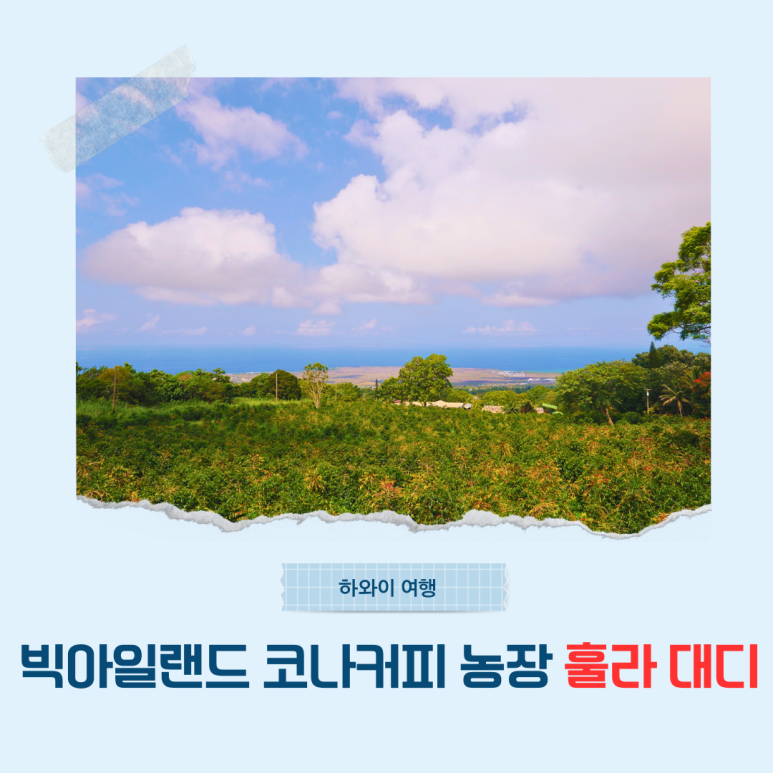 대디커피(Daddy coffee) 이미지