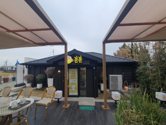 카페백서향 이미지