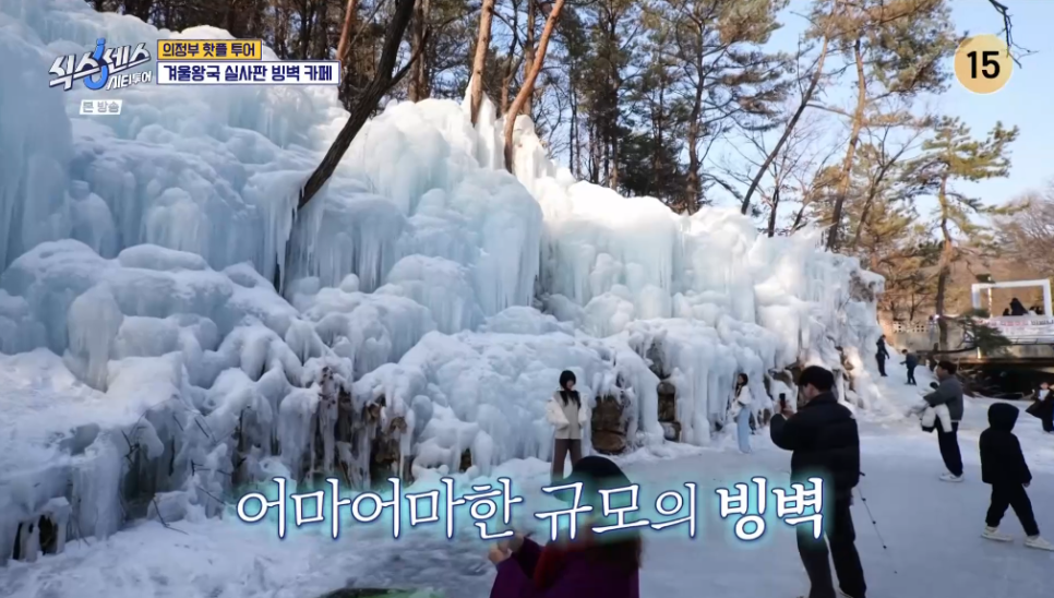 금성피자 이미지