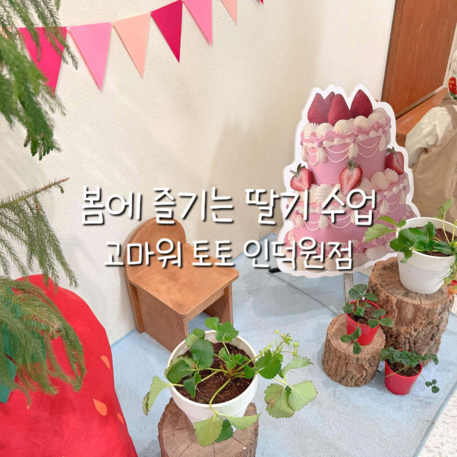 고마워토토인덕원점 이미지