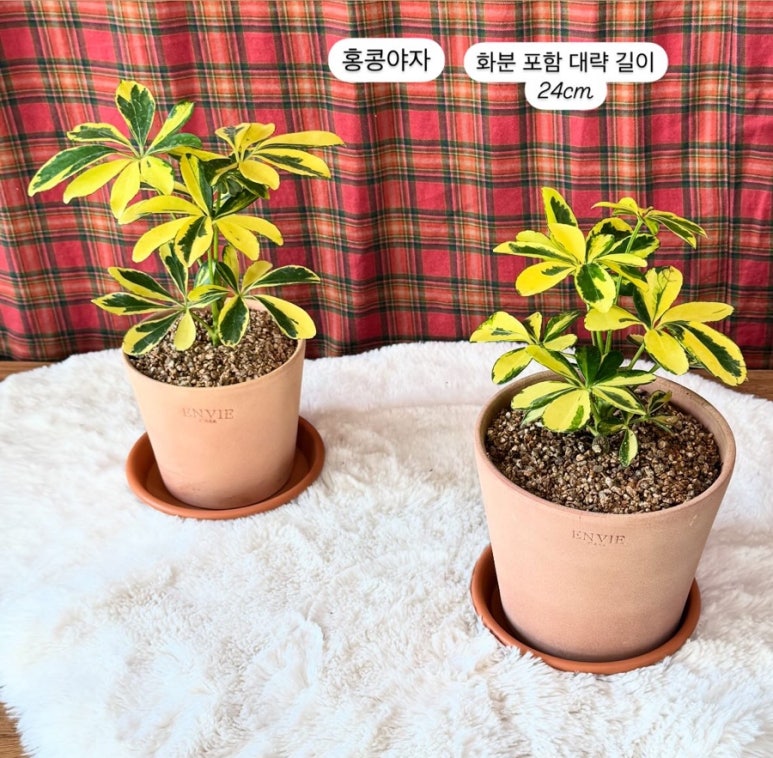 여울정원 이미지