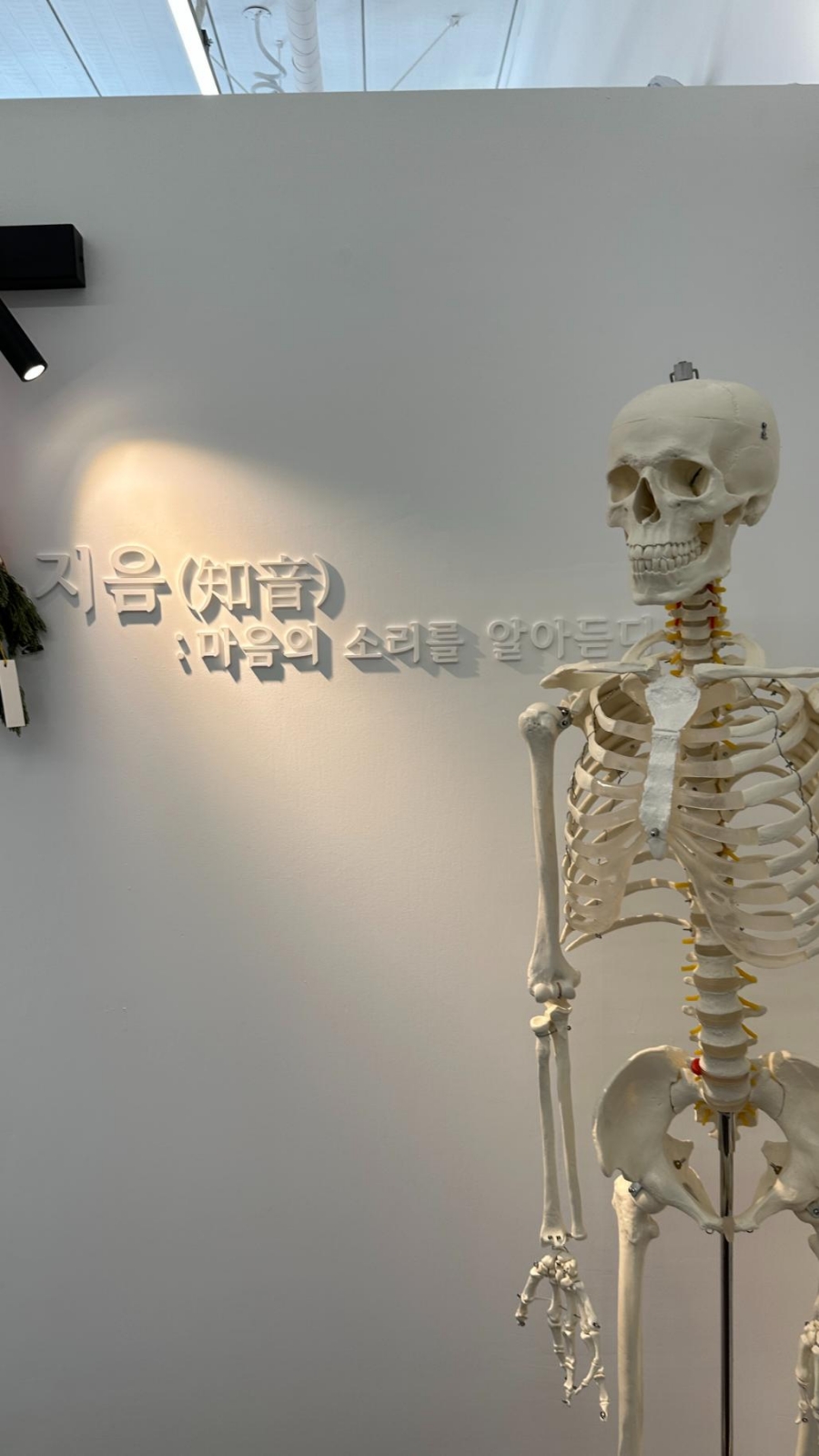 스튜디오지음 이미지