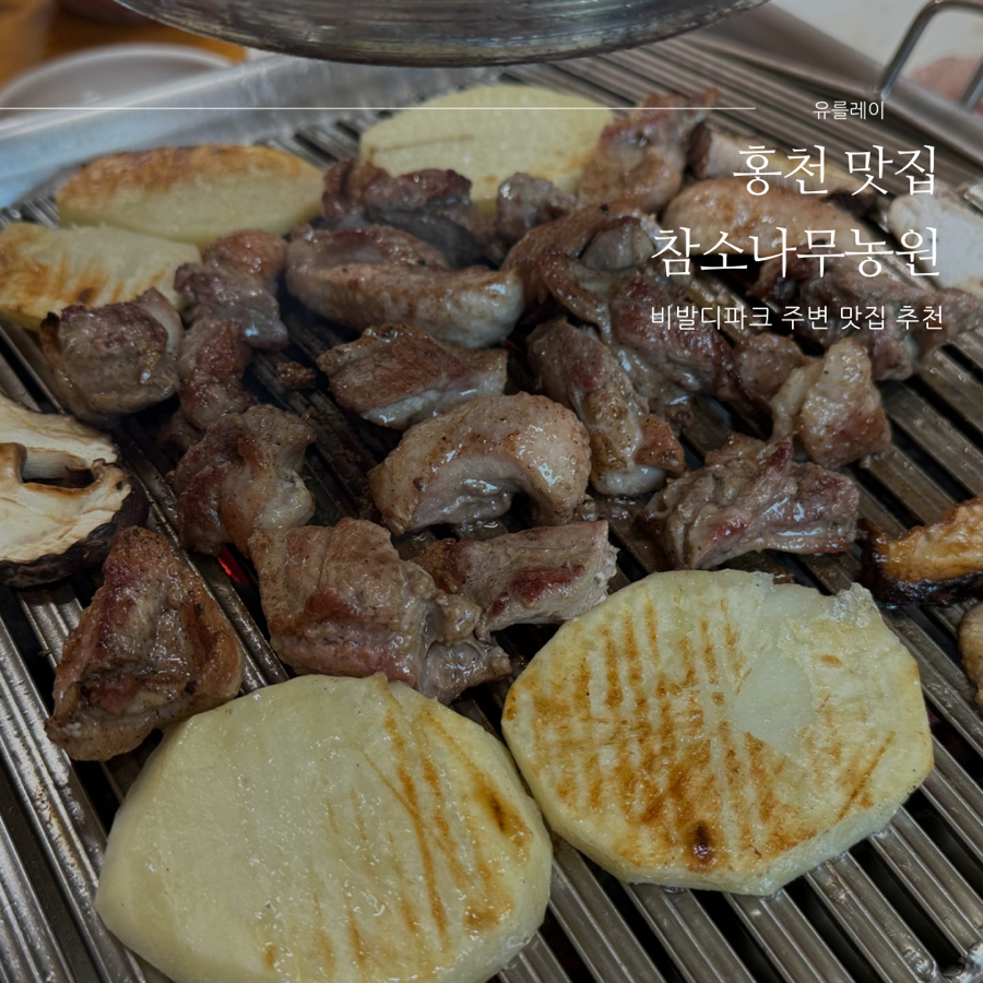 참소나무농원 이미지