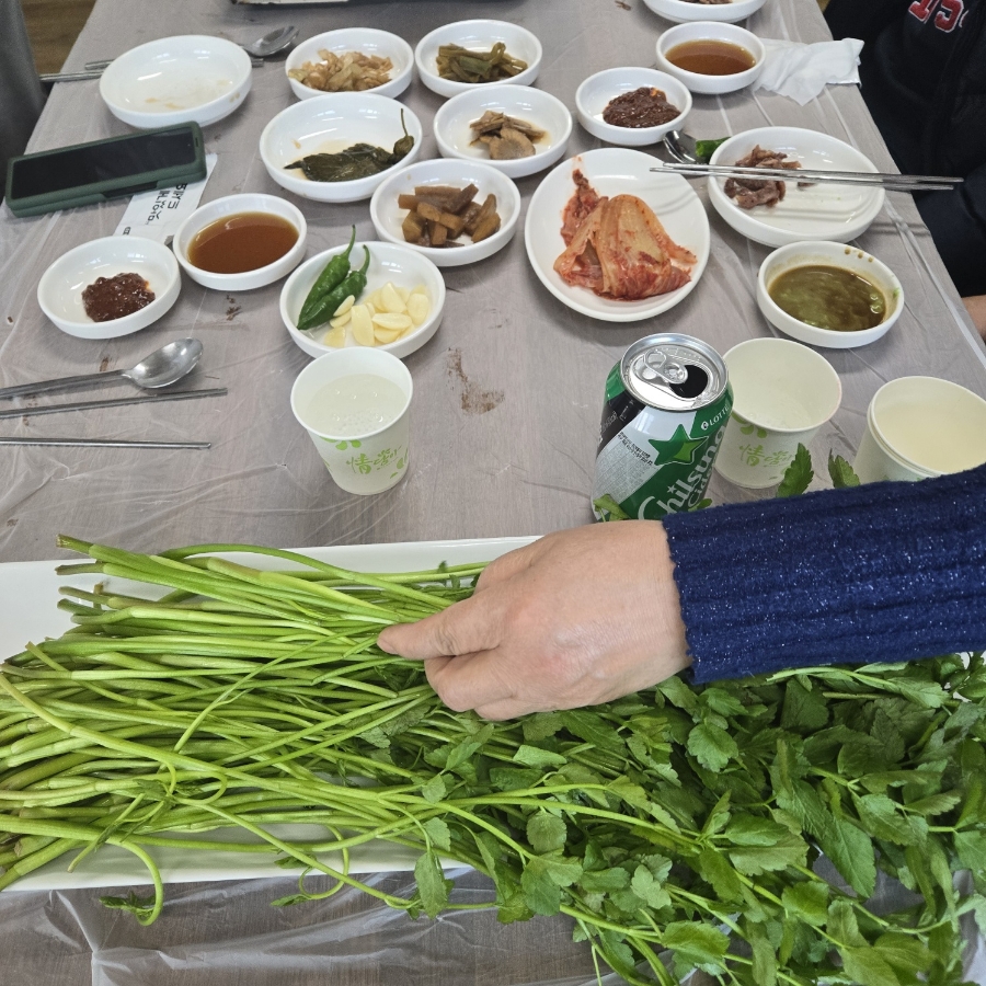 한재스타미나리 이미지
