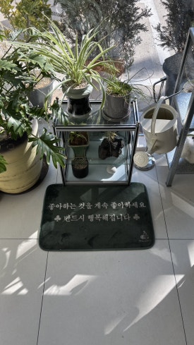 인커브 이미지