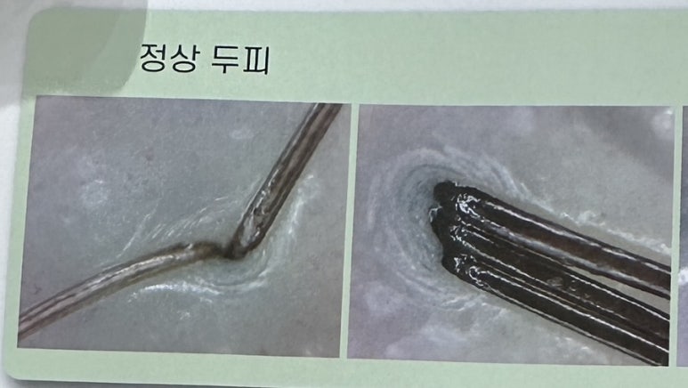 헤어나올수없어 이미지