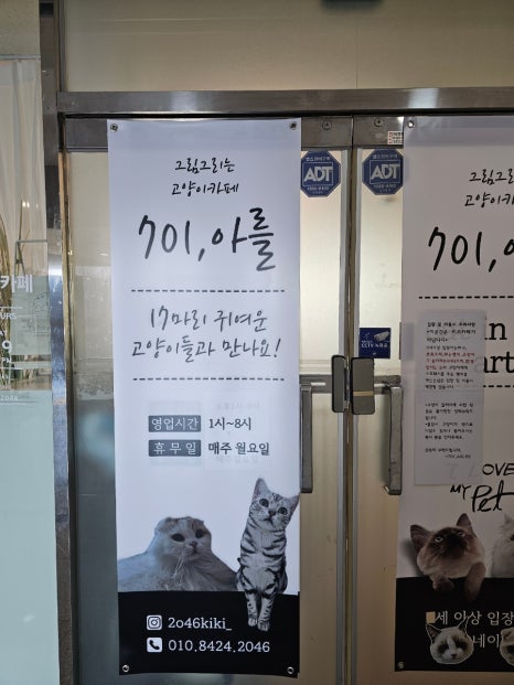 701아를고양이카페(cat in the art) 이미지