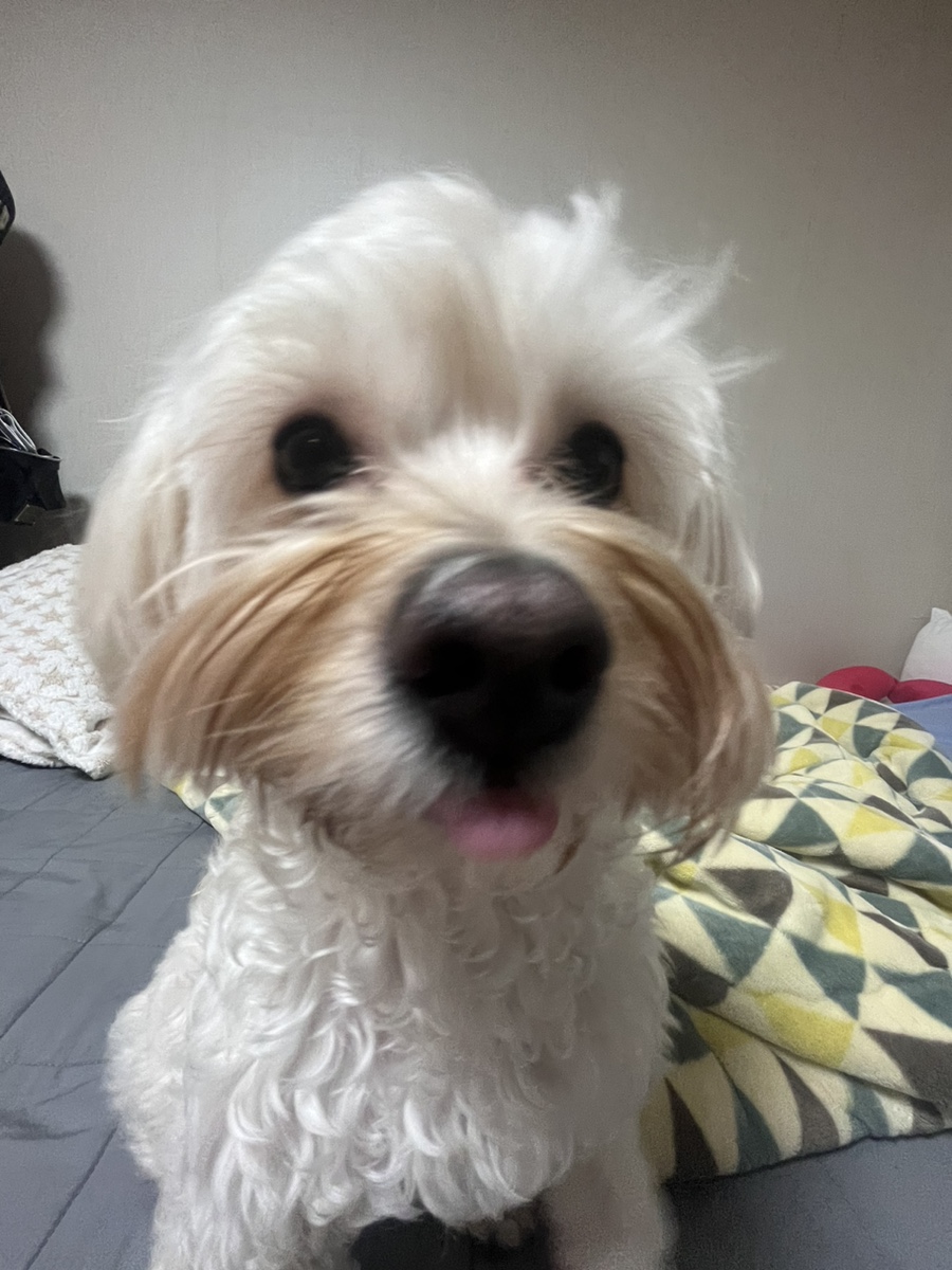 오카에리 이미지
