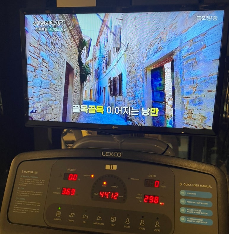 투마미 이미지