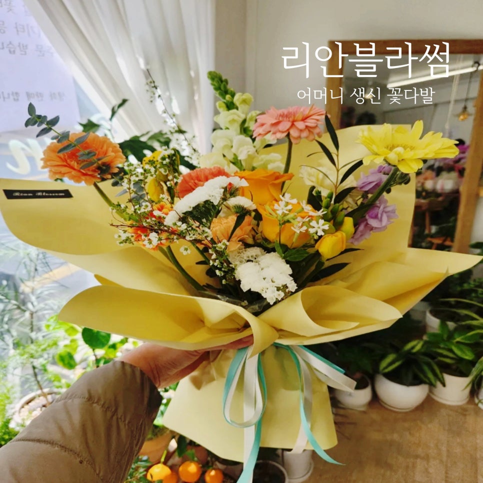 리안블라썸 이미지