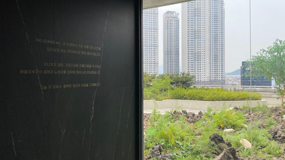 에이피부과 이미지