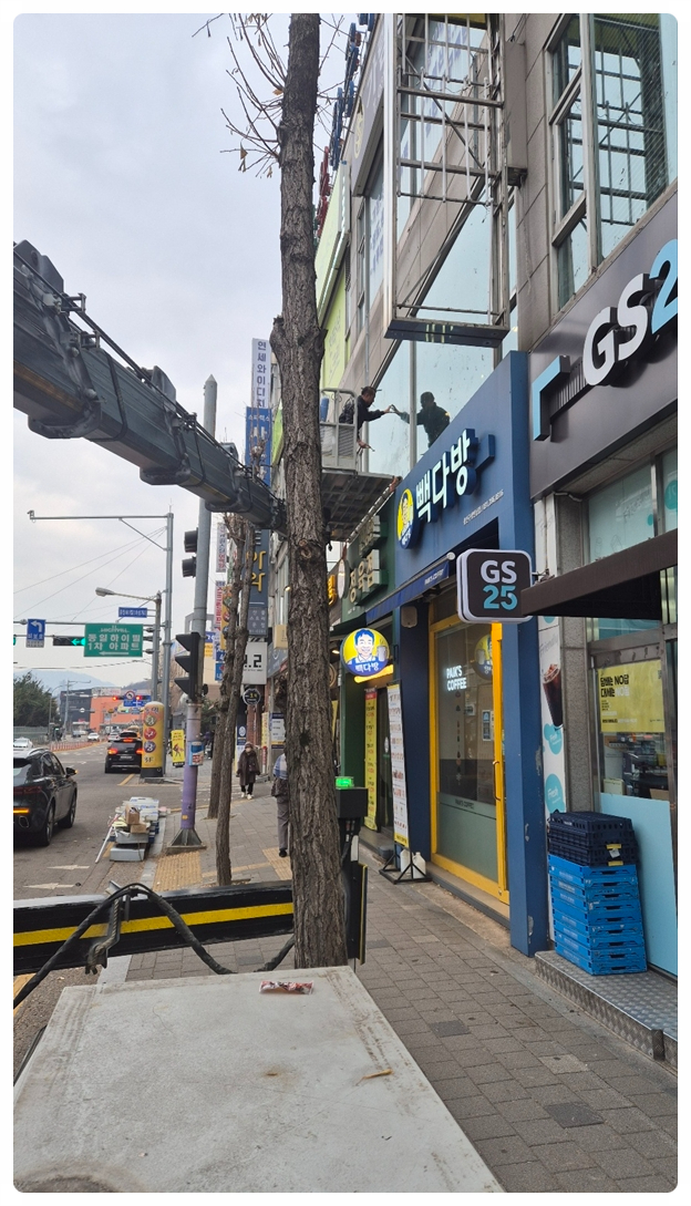 김포차 이미지