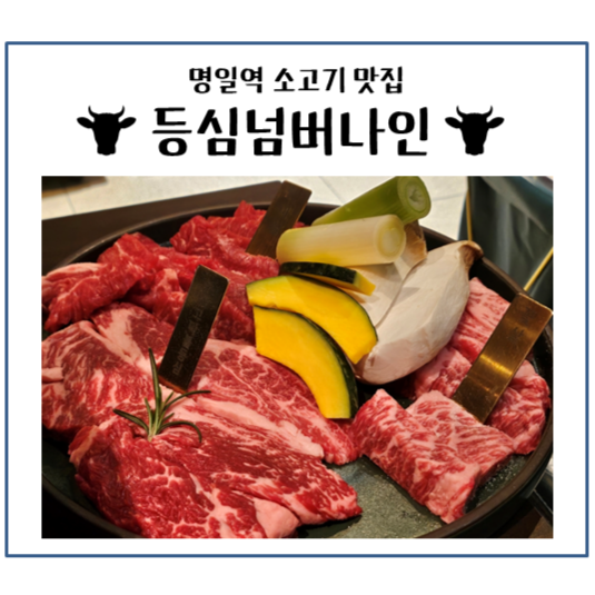 등심넘버나인 이미지