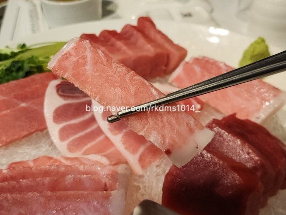 본참치 이미지