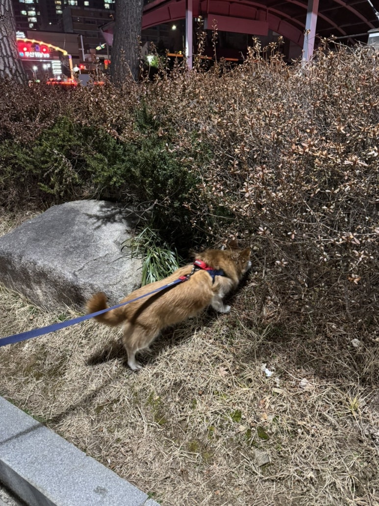 정다함 푸드 이미지