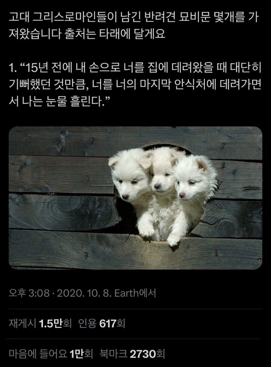 지금 이미지