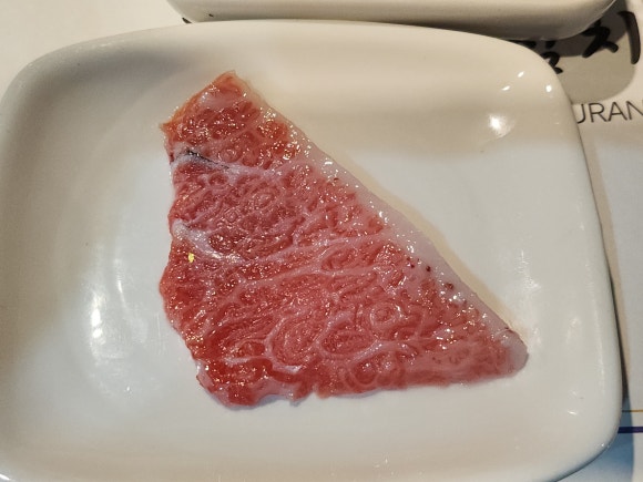 본참치 이미지