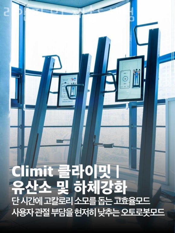 리앤지 이미지