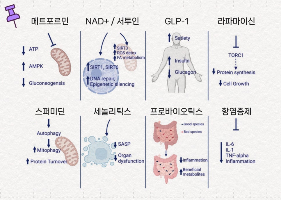 포시즌스요양병원 이미지