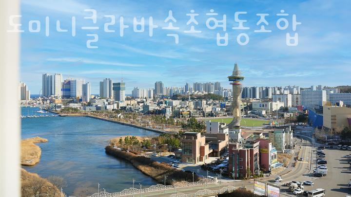 도미니클라바속초협동조합 이미지