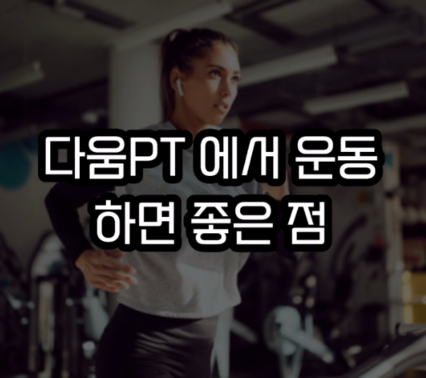 다움PT 이미지