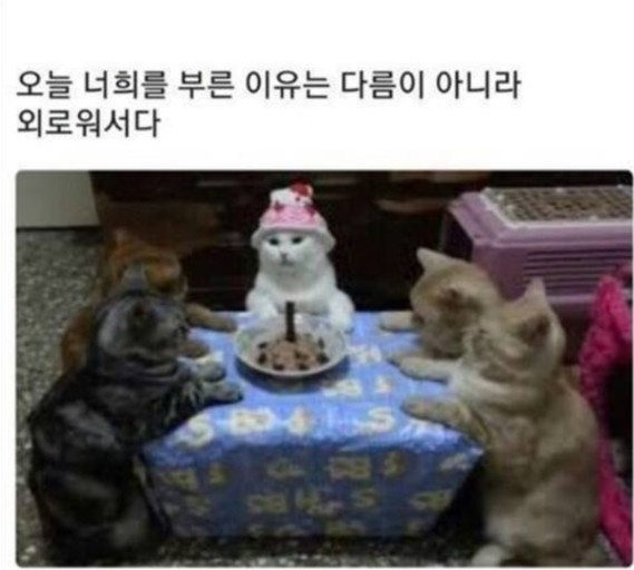 카페불로 이미지
