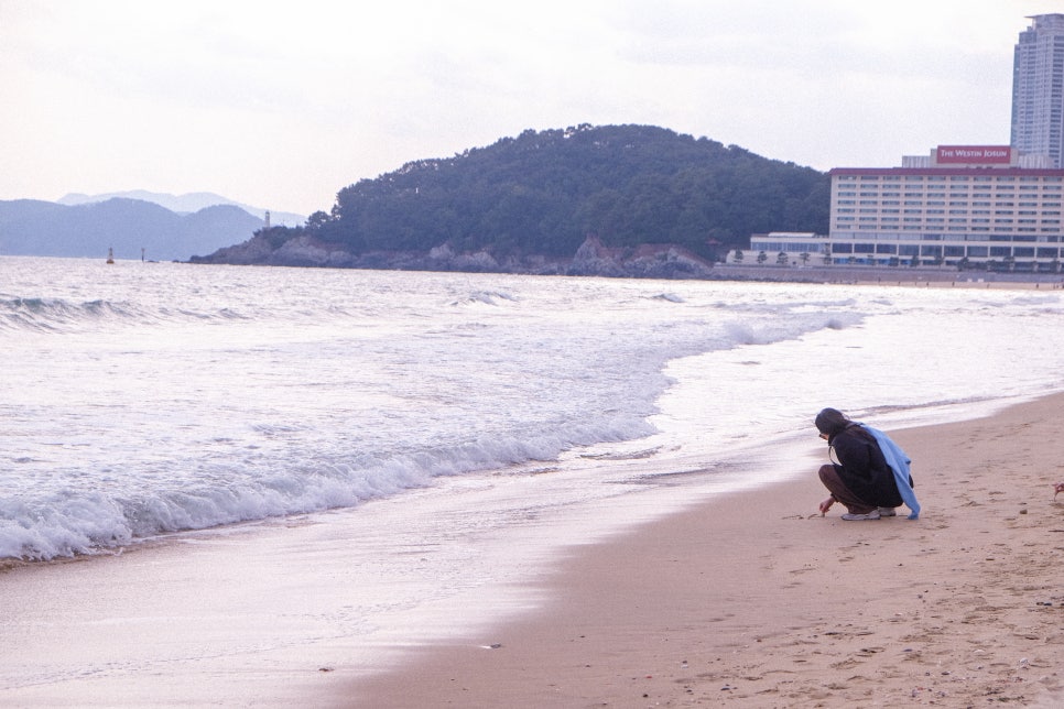 the,고은 이미지