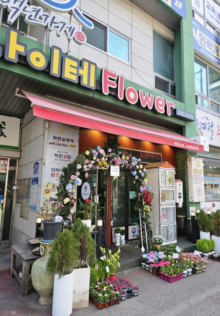 나이테플라워 이미지