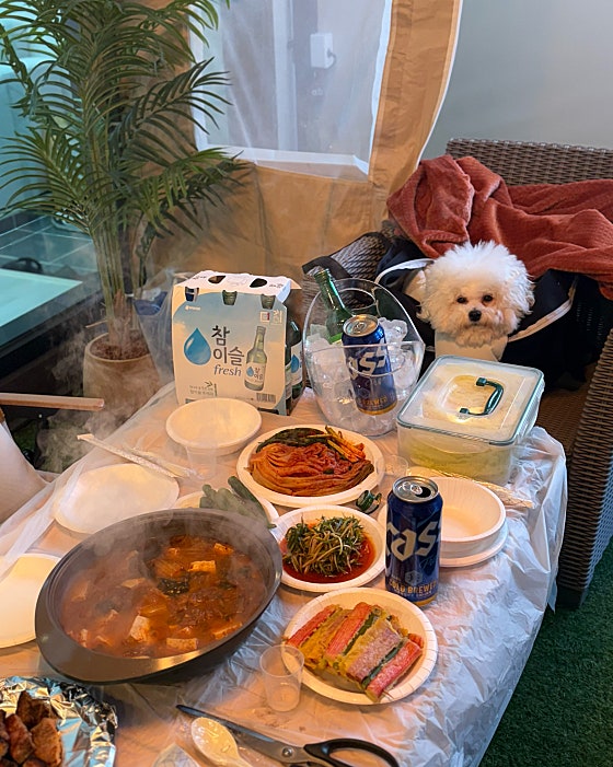 펠리스펜션 이미지