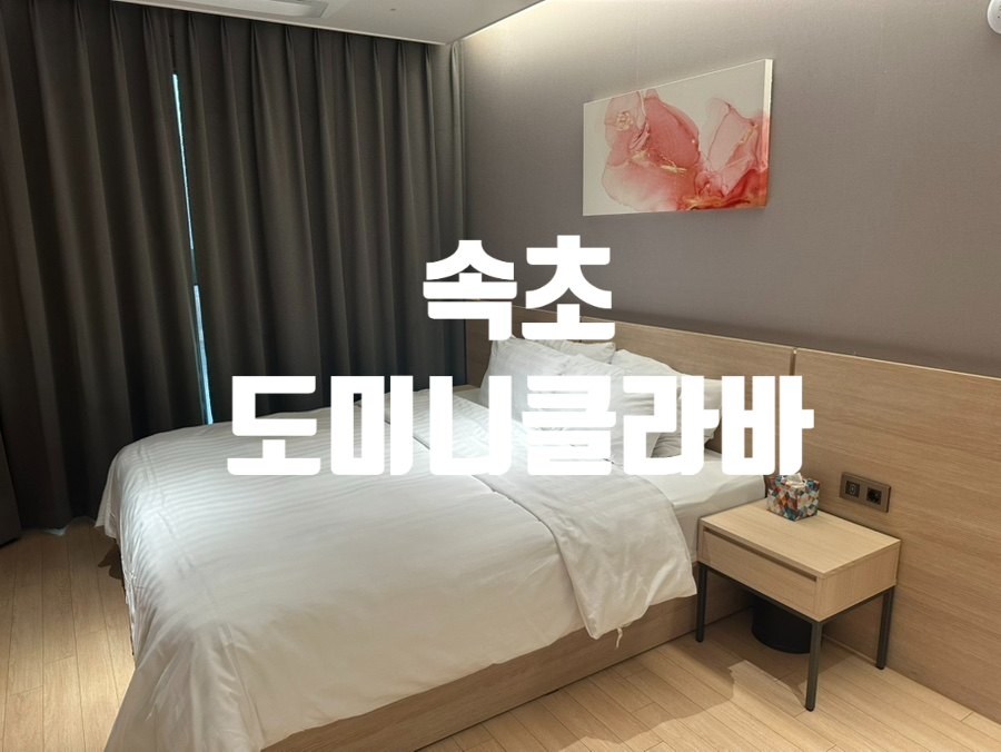 도미니클라바속초협동조합 이미지