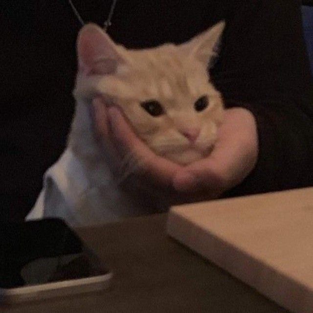 철뚝집 이미지