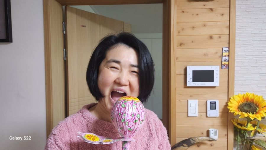 까드로 이미지