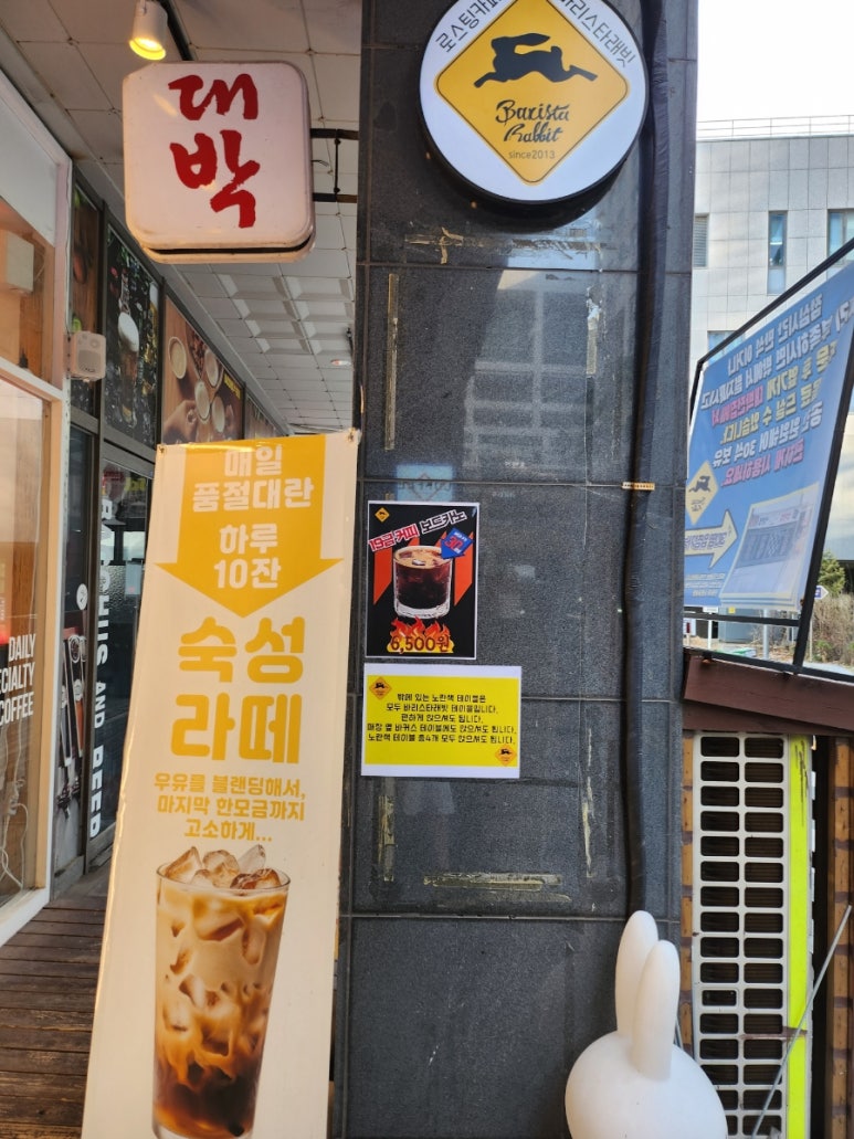 바리스타래빗 이미지