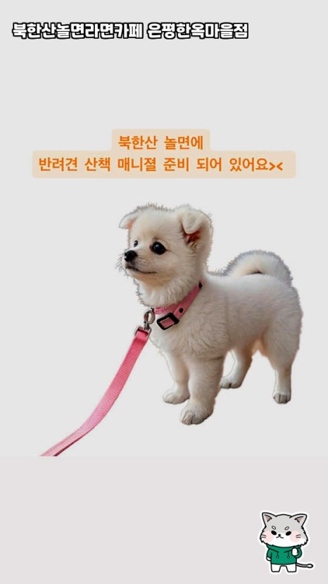 북한산놀면라면카페 이미지