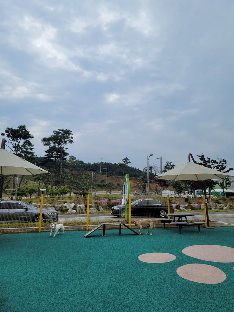 태안농협 로컬푸드직매장 이미지