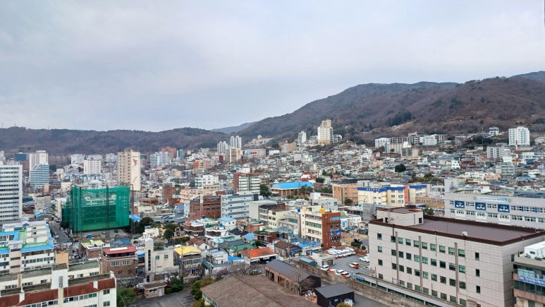 현동다육 이미지