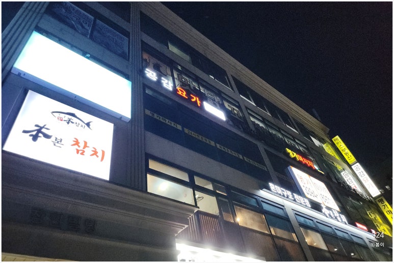 본참치 이미지