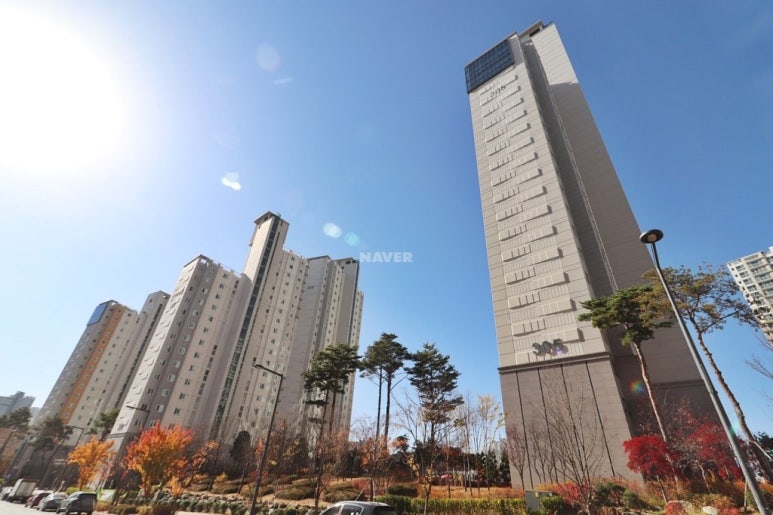 로티에듀 이미지